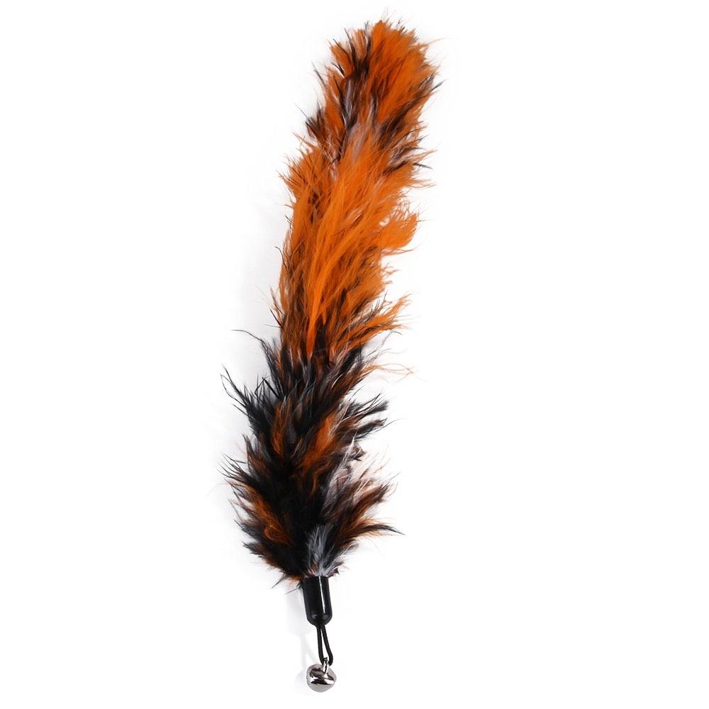 Interactive Cat Feather Teaser Wand & Refill Set