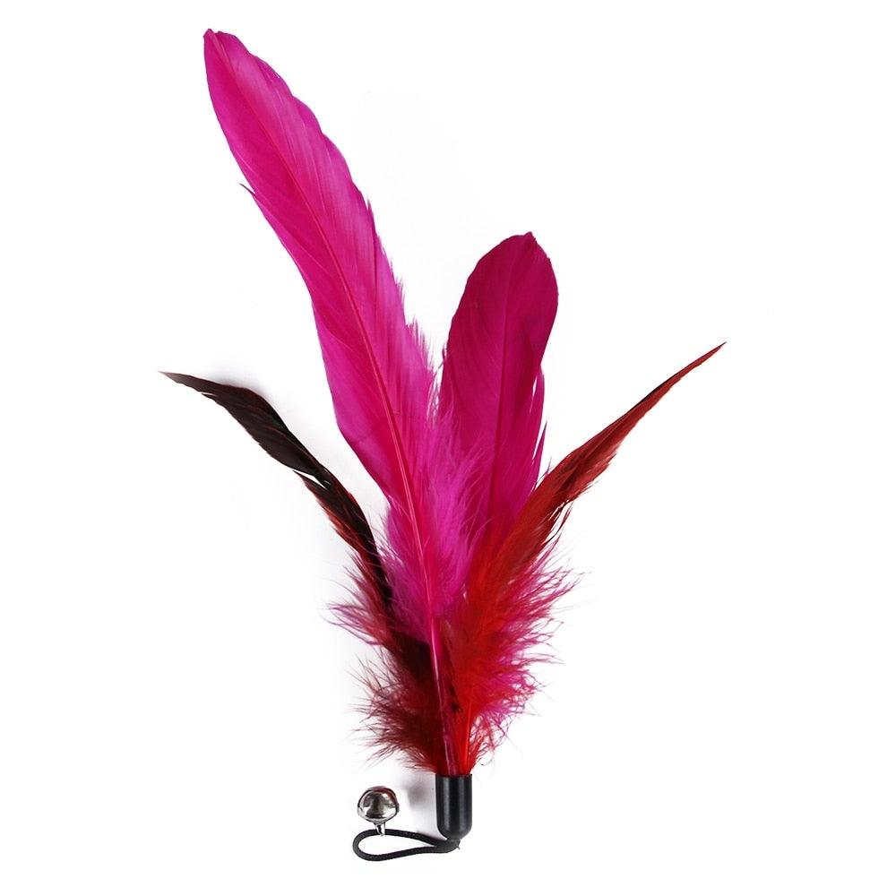 Interactive Cat Feather Teaser Wand & Refill Set
