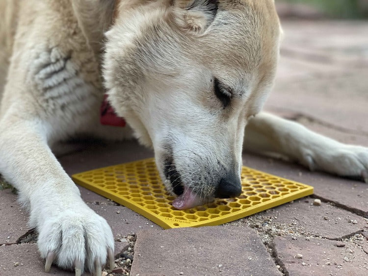 SodaPup Honeycomb eMat Lick Mat for Dogs & Cats